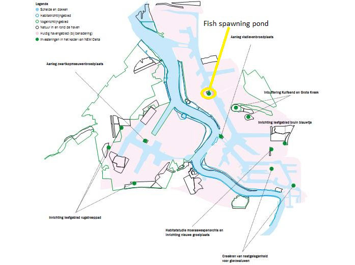 Figure 2. Location of the fish spawning pond in the Antwerp harbour docks