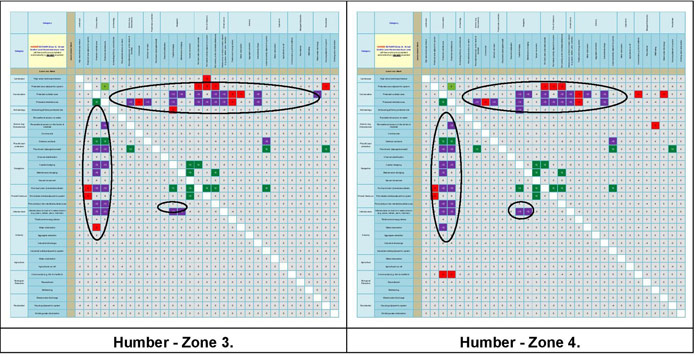 Figure 24b:  Main conflict scores for the Humber Estuary.