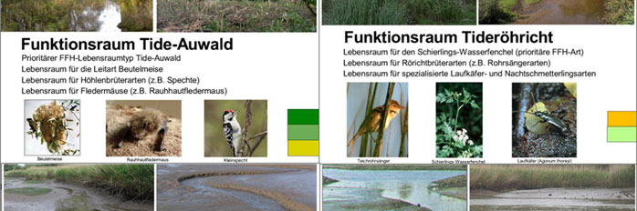 Figure 3: Description of habitat types  