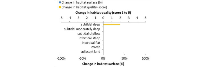 Figure 2: Ecosystem services analysis for Study on ´Investigation on freshwater current direction control at Bunthaus and possible impact on sedimentation patterns in the Port of Hamburg´: Indication of habitat surface and quality change, i.e. situation before versus after measure implementation. 