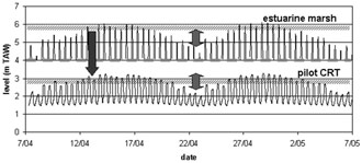 Figure 10. Tidal waves in Scheldt and the pilot CRT (Lippenbroek). Hatched areas indicate the elevation of the adjacent marsh and the mean surface elevation of the polder. The big arrow indicates the reduction of the high water levels by about 3 m. The smaller arrows show that the difference between HW spring tide and HW neap tide is preserved in the CRT. Note that for the tidal curve of the Scheldt, only the upper parts (above 4 m TAW) are shown. (Maris et al.)