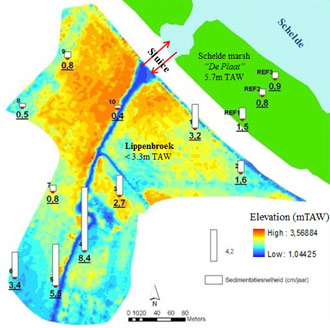 Figure 14. Spatial variation in sedimentation rate (cm/year) at Lippenbroek and the adjacent reference site (marsh “De Plaat”). The little numbers indicate the SET sites the underlined numbers is the sedimentation rate. Sedimentation rates are counted for the period between March 2006 and September 2009. The morphology of Lippenbroek is represented based on the digital elevation model of Flanders for the original polder (before the introduction of CRT in March 2006). (Maris et al. 2008b)