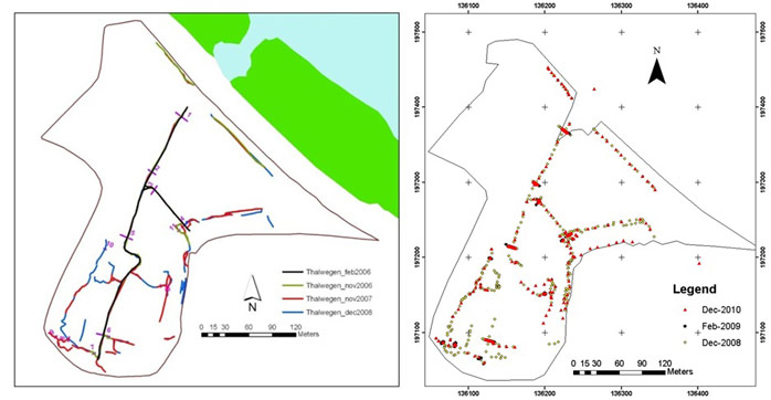 Figure 15. Left: Planimetric evolution of the creek network at Lippenbroek, March 2006-December 2008. Right: Topographic surveys performed in December 2010 (VUB-HYDR), February 2009 (UA-Ecobe), and December 2008 (UA-Ecobe) at Lippenbroek. Thalweg elevation was used as a measuring criterion for the monitoring of various creek developments.