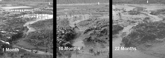 Figure 16. Development of a creek in the CRT Lippenbroek. White square indicates position of the same stick in every photo. Note the deepening of the creek, decrease of stagnant water surface in the background, and emergence of mudflats and meandering structures.(Maris et al.)