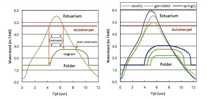 Figure 9. Modelling (1D) of the tide in CRT Lippenbroek for an average tide (left), with indication of in-stream and out-stream. The tidal difference between the end of the in-stream and the start of the out-stream results in a stagnant phase. The right panel visualises the same modelling for neap-, average- and spring tide. Only with a high inlet culvert the difference in in-stream will be large enough to result in large spring-neap tide variation. (Maris et al. 2008a)