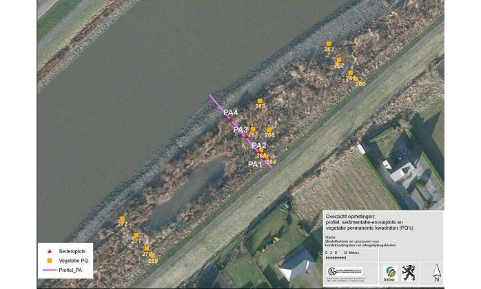 Figure 2. Overview Paddebeek wetland with sample locations: sedimentation-erosion plots (“sederoplots”: red triangles) and vegetation PQ’s (yellow cubes). Orthophoto January 2009. (Speybroeck et al. 2011)