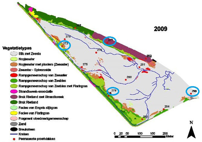 Figure 10. Vegetation map of the Paardenschor in 2009 (Speybroeck et al. 2011)