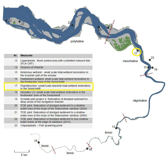 Figure 1. Location Paardenschor wetland