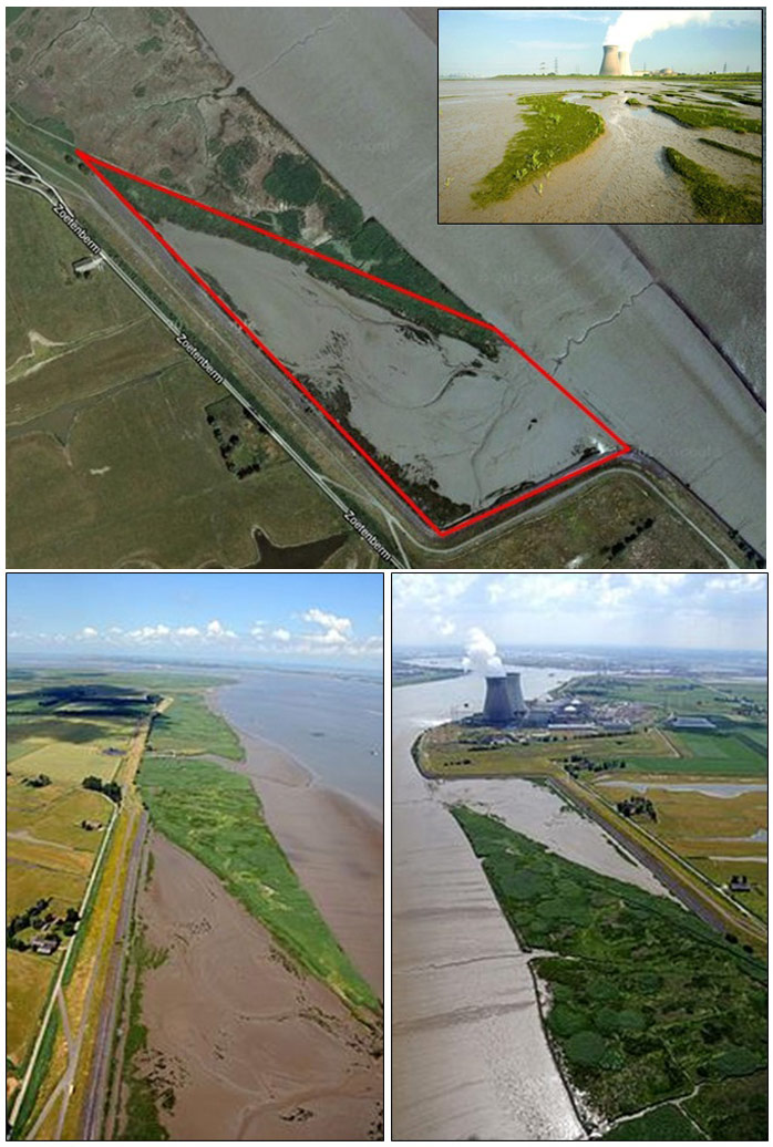 Figure 2. Air views tidal wetland Paardenschor