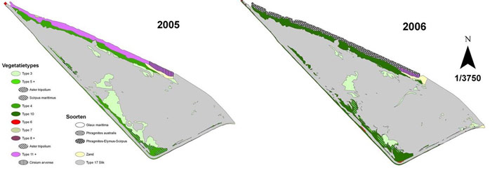 Figure 9. Vegetation map of the Paardenschor in 2005 and 2006 (Brys et al. 2005)