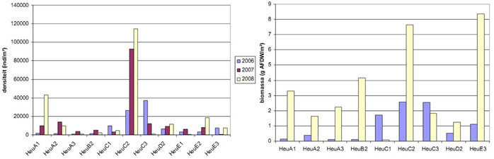 Figure 5. Density (left) and biomass (right) per location – autumn surveys from 2006, 2007 and 2008. Biomass data for 2007 is not available (Speybroeck et al. 2011).