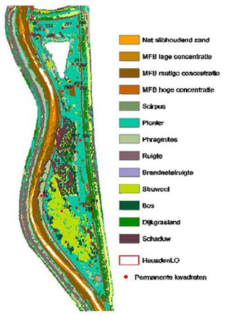 Figure 7. Vegetation map of Heusden LO, 2007. (MFB: microphytobenthos) (Speybroeck et al. 2011)