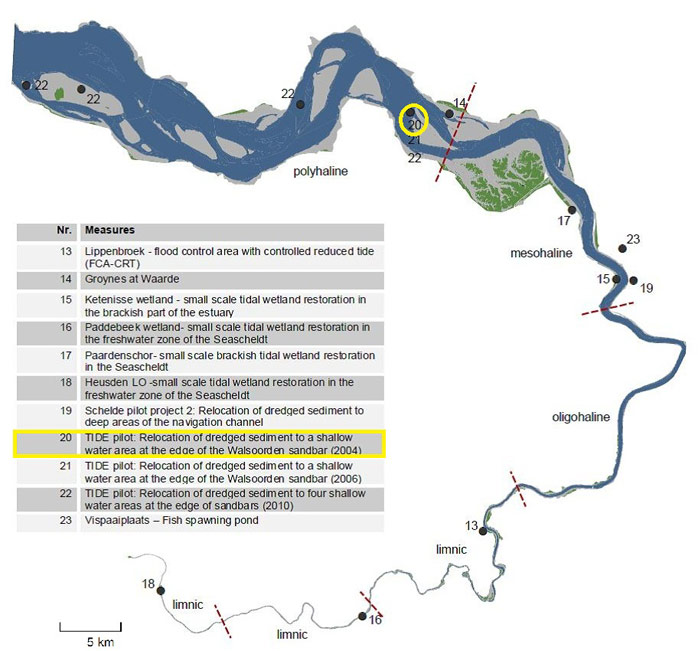 Figure 1. Location of the Walsoorden sandbar (Western Scheldt, Westerschelde)