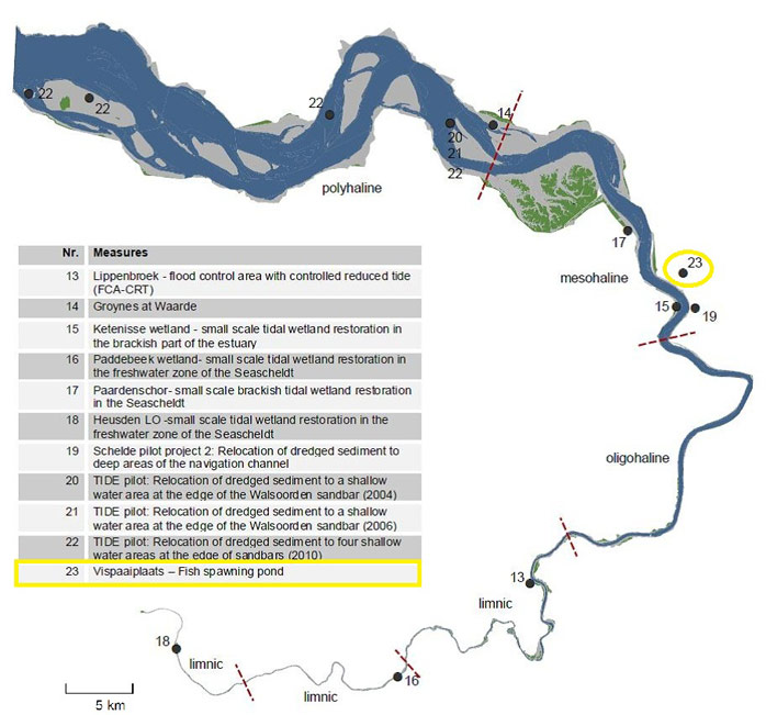 Figure 1. Location of the fish spawning pond