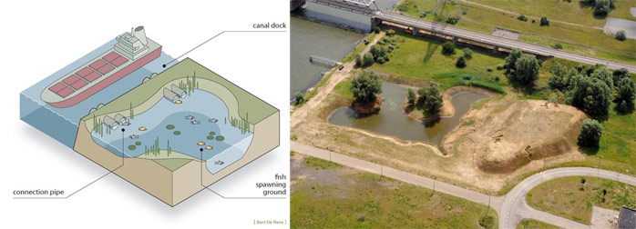 Figure 3. Left: Scheme of a fish spawning pond (Bart De Neve)