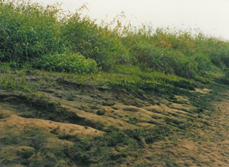Figure 3: View of the erosion of the slope
