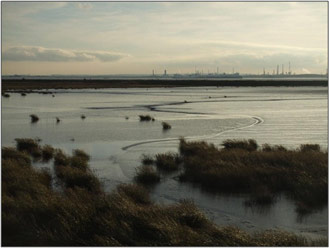 Figure 5: View of overall scheme (taken by Nigel Pontee, Halcrow)