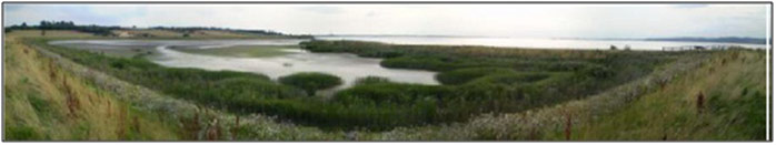 Figure 4: Panoramic view from easterly corner of site (taken by ABPmer, August 2010)