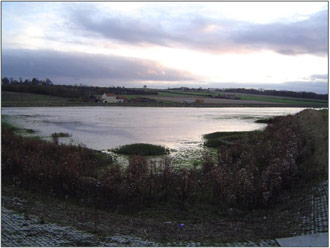 Figure 5: View from easterly corner of site (taken by Nigel Pontee, Halcrow)