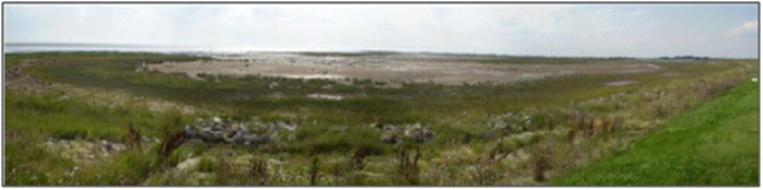 Figure 4: Panoramic view of Welwick from easterly corner of site (taken by ABPmer, August 2010)