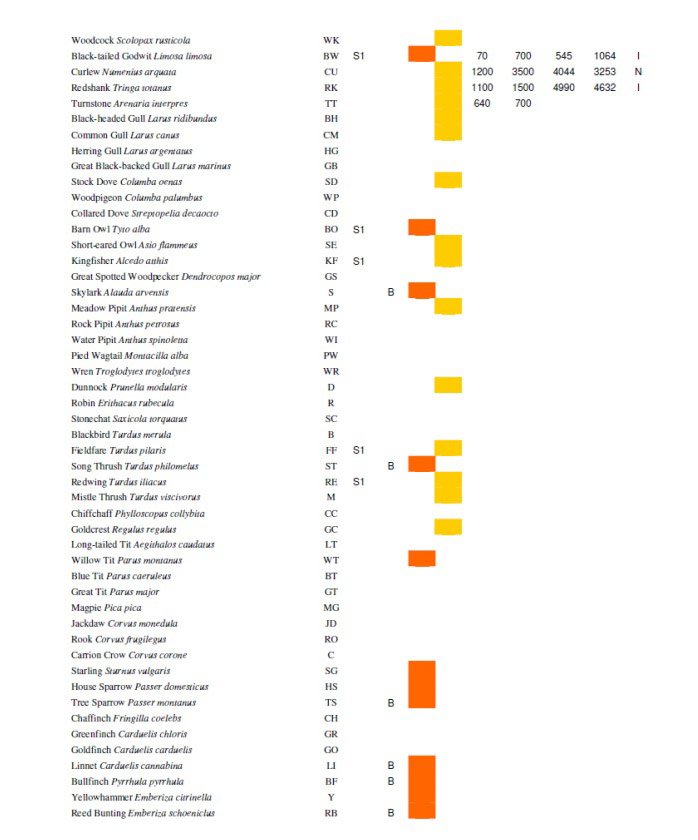 Table 3: Wintering birds in 2007