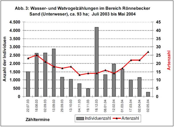 Figure 3: Water and wading bird countings on the project area between July 2003 and May 2004. The occurrence of few species (‘Artenzahl’) in winter and many species in late summer/spring is typical for bird migration areas visited by Nordic water and wading birds on their way back to or away from home. The number of individuals (‘Anzahl der Individuen’) principally reflects this course. Only during winter, exceedingly high individual numbers due to a high amount of migrating geese belonging to few species were observed (BIOS 2004).