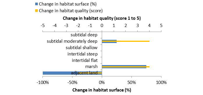 Figure 6: Ecosystem services analysis for measure ‚Shallow water area Rönnebecker Sand‘: Indication of habitat surface and quality change, i.e. situation before versus after measure implementation.