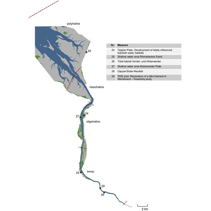 Figure 1: Location of compensation measure 26: ‚Tidal habitat Vorder- und Hinterwerder‘
