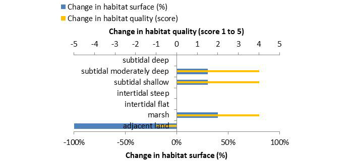 Figure 7: Ecosystem services analysis for measure ‚Tidal habitat Vorder- and Hinterwerder‘: Indication of habitat surface and quality change, i.e. situation before versus after measure implementation.