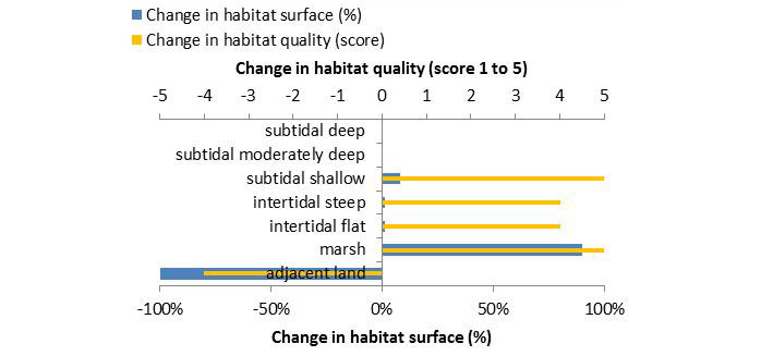 Figure 5: Ecosystem services analysis for measure ‘Cappel-Süder-Neufeld’: Indication of habitat surface and quality change, i.e. situation before versus after measure implementation