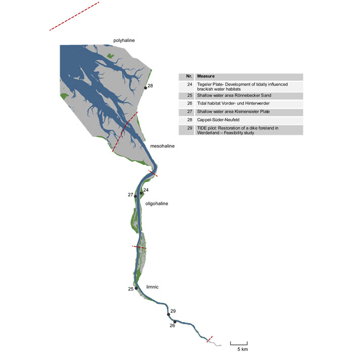 Figure 1: Location of planned measure in Werderland (Measure 29)