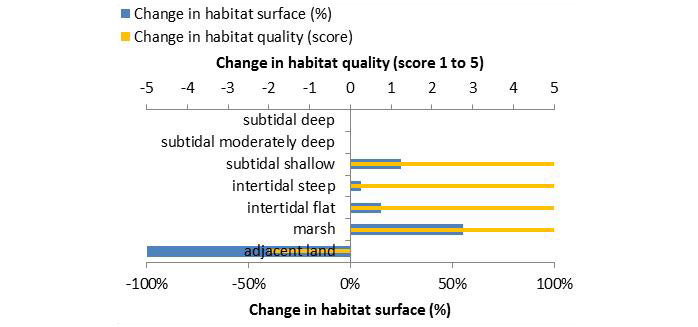 Figure 6: Ecosystem services analysis for measure 29: Indication of habitat surface and quality change, i.e. situation before versus after measure implementation.