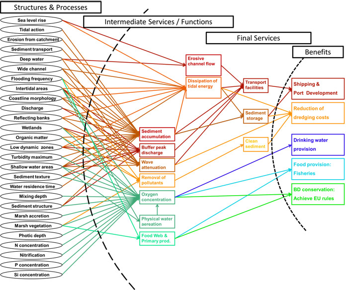 Figure 10: Illustration of supply of several benefits of ecosystem services by interacting structures and processes in the ecosystem. 
