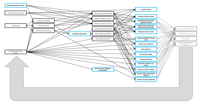 Figure 29: Illustrative scheme of interdependence of TIDE key ecosystem services (blue boxes), habitat abundance, habitat functioning and basic functions in the estuarine system. The grey boxes and arrows arrow represent the feedback of these services on the same drivers which determine their supply.