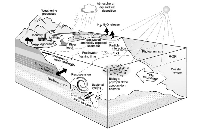 Fig. 1 Estuarine processes and exchanges for nitrogen, phosphorus and dissolved silica according to Statham et al. 2011 (ROFI = Region of Freshwater Influence).
