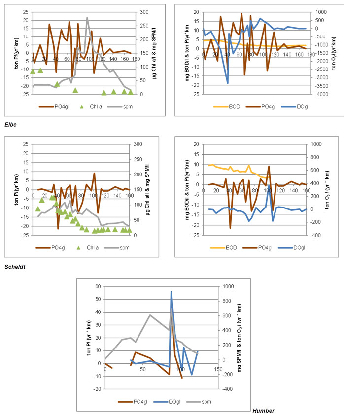Fig. 40 Relation between phosphate gain and loss with chlorophyll a, biological oxygen demand, suspended matter concentration and dissolved oxygen gain and loss for Elbe, Scheldt and Humber.