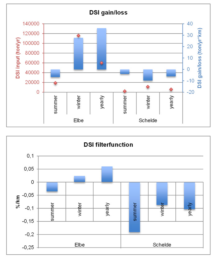 Fig. 41 Sink and source function for dissolved silica (DSI) in the Elbe and Scheldt estuary, calculated as six-yearly average along the whole estuarine gradient on a yearly, summer and winter basis. In the upper graph, input (ton/yr) and gain/loss (ton/yr*km) are given. In the lower graph, contribution of gain/loss relative to the initial input (starting concentration) is displayed (%/km). For the Humber estuary to few data points were available to calculate gain and loss for dissolved silica. Summer = June, July, August