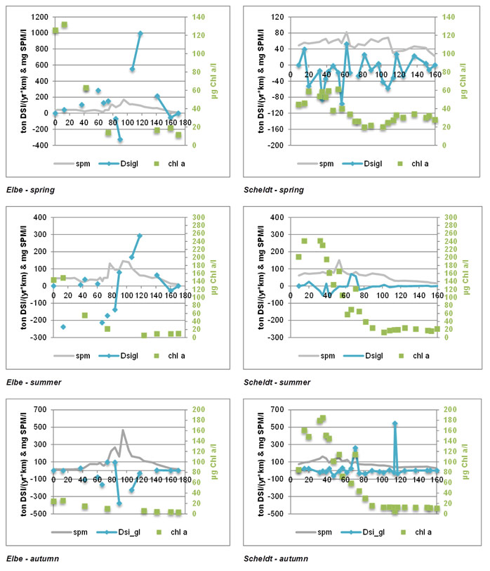 Fig. 43 Relation between dissolved silica gain and loss with chlorophyll a and suspended matter concentration for Elbe and Scheldt based on six-yearly averages for the spring, summer and autumn period (March-November).