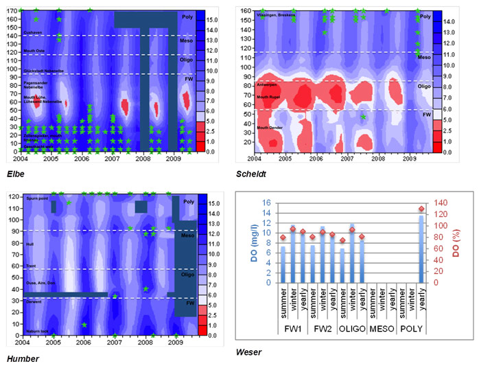 Fig. 44 Spatial (TIDE km) temporal (years) distribution of dissolved oxygen concentration (DO, mg O2/l) for the Elbe, Scheldt, Humber and Weser. Main tributaries and recognizing sampling points are shown in the surfer plots. For the Weser not enough sampling stations covered the estuarine gradient to represent the data as a surfer plot. Therefore averages per zone are displayed for yearly, summer and winter period. Dissolved oxygen saturation larger than 100 % are indicated by green asterisks within the surfer plots for Elbe, Scheldt and Humber. Dissolved oxygen saturation concentration for the Weser are indicated on the right y-axis. Missing data in the time-distance plots are represented as solid filled rectangles.