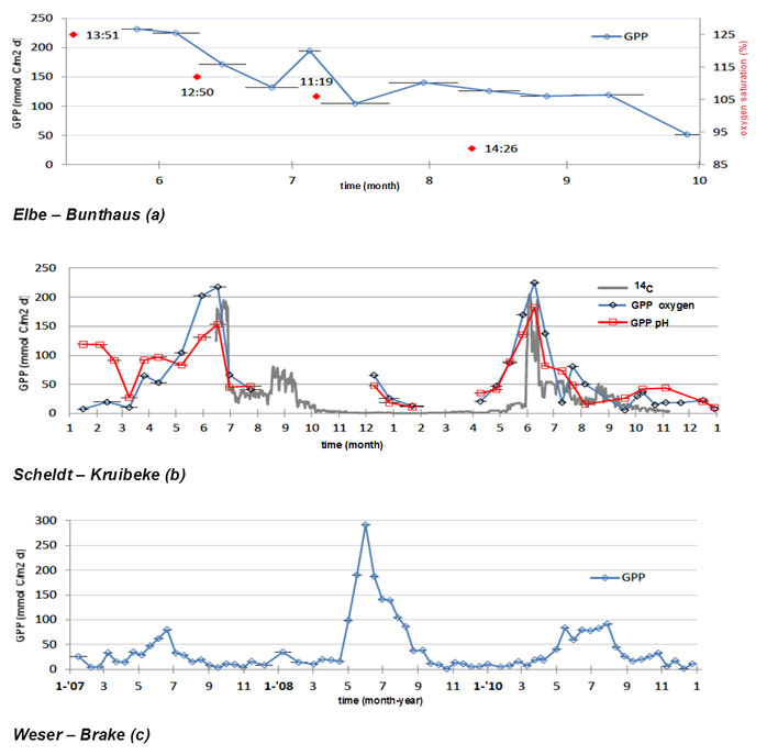 Fig. 51 GPP estimates from continuous oxygen data series in Elbe, Scheldt and Weser for Bunthaus, Kruibeke and Brake resp., (a) in the Elbe, GPP is represented for the time period of 23-5-2009 to 1-10-2009, the horizontal bar displays length of the time interval considered, oxygen saturation values based on a 14day average are added in red, (b) in the Scheldt, GPP for the time period 2009 to 2010 is displayed, also GPP estimates based on pH continuous profiles and GPP calculation from 14C in situ methods are added to the graph, (c) in the Weser, the GPP estimates based continuous oxygen profiles for 2007 to 2008 are represented, horizontal bars represent time interval.