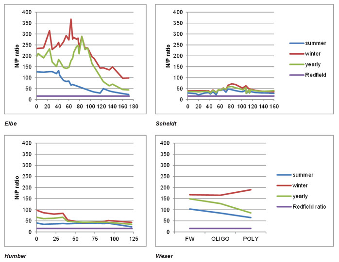 Fig. 52 Nitrogen phosphorus molar ratios, calculated as sum of inorganic dissolved nitrogen divided by phosphate concentrations based upon a six-year average, represented for a yearly, summer and winter period for Elbe, Scheldt, Humber and Weser. Summer = June, July, August, winter = December, January and February.