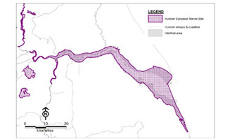 Figure 1a Humber Estuary European Marine Site (SAC & SPA)<br><br><br>