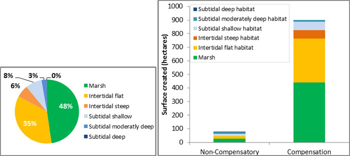 Figure 11: Distribution of different habitat types created by the TIDE cases (Left), and overview habitat creation per habitat type by the TIDE compensation measures and non-compensatory measures (Right)