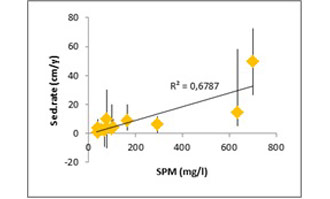 Figure 13: Correlation between SPM and the average sedimentation rate on the site (R²=0,6787, T=4,6, p<0,001).