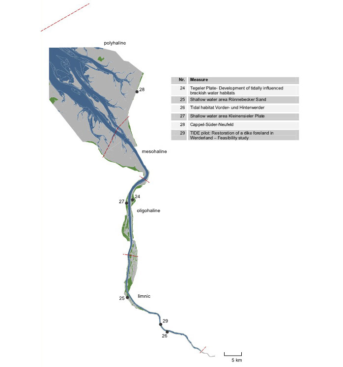 Figure 22: Locations and titles of management measures collected according to the Weser estuary with indication estuary zones (limnic, oligohaline, mesohaline, polyhaline)