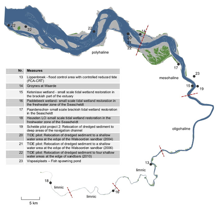 Figure 24: Locations and titles of management measures collected according to the Scheldt estuary with indication estuary zones (limnic, oligohaline, mesohaline, polyhaline)