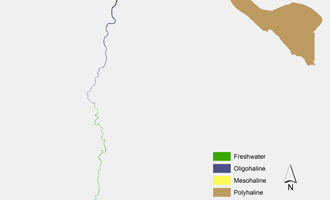 Humber - Maps of the TIDE-zonation per estuary (by W. Vandenbruwaene) 